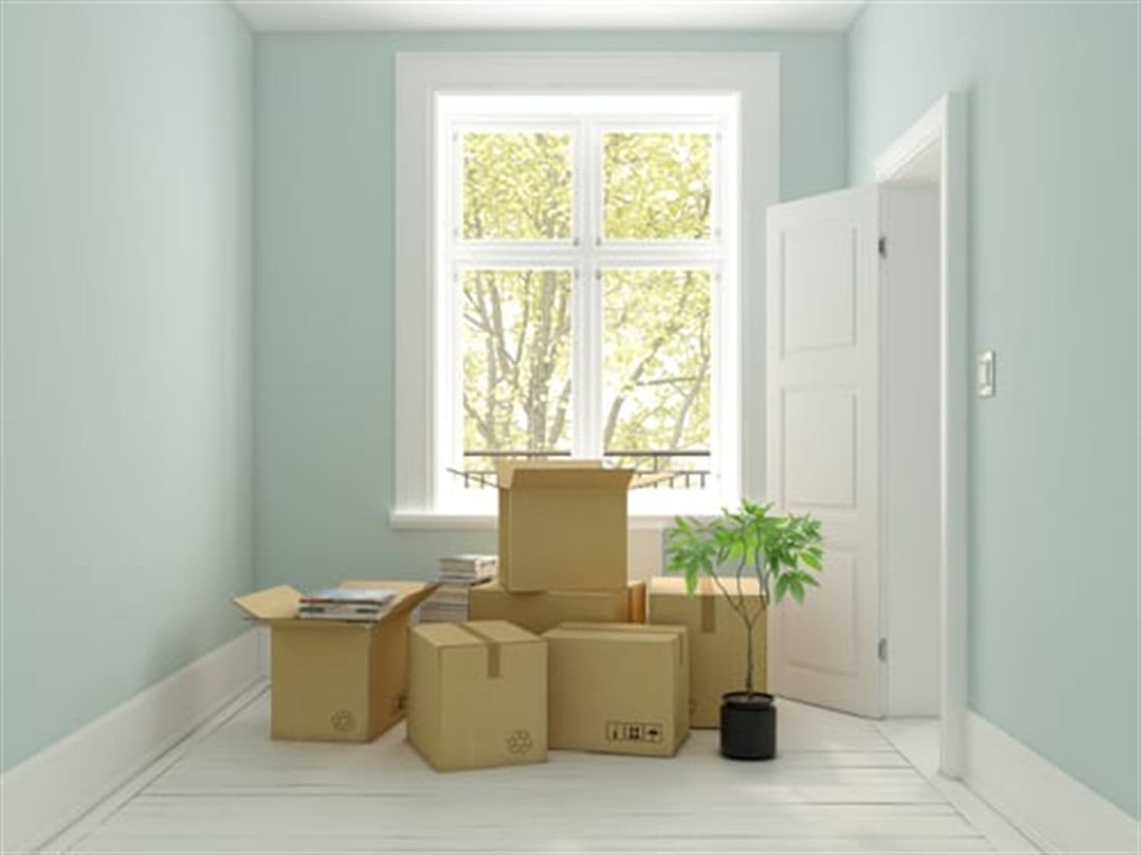Moving boxes and a plant in a bright apartment room with a large window and open door