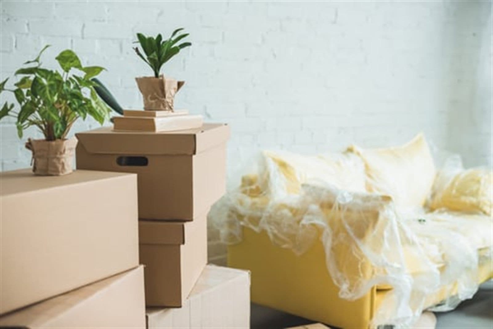A sofa wrapped in protective plastic film beside stacked moving boxes and houseplants