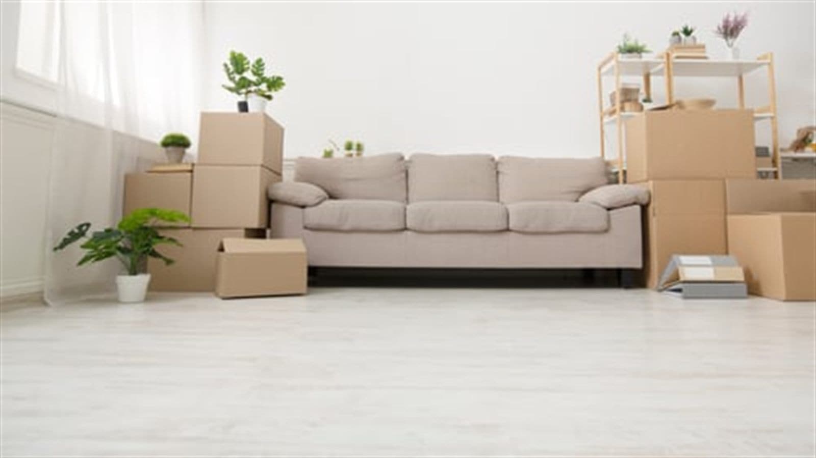 Living room mid-move with a sofa surrounded by packed cardboard boxes
